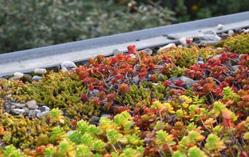 the cost of Drayton St Leonard green roof installation