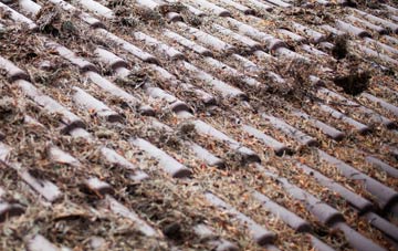 Drayton St Leonard roof cleaning companies